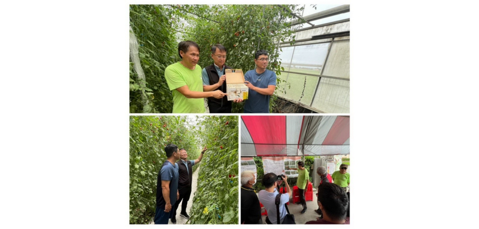 台塑企業與朝陽科大舉辦「氣候變遷、智慧小番茄借熊蜂授粉新希望」(圖)