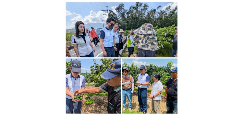 凱米颱風重創雲林縣古坑農作 立委劉建國會勘促簡化農損申請流程(圖)