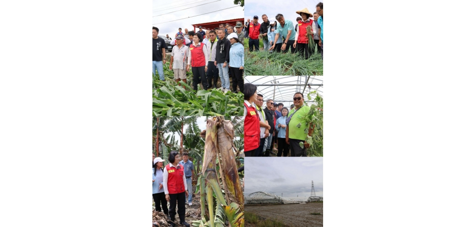 雲林縣農損達2.6億元全國最高 縣長張麗善籲農業部勿政治化 比照台南市嘉義縣納入全品項、免現勘現金救助(圖)