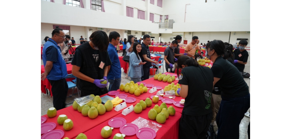 斗六市公所舉辦114年大斗六地區文旦品質評鑑(圖)