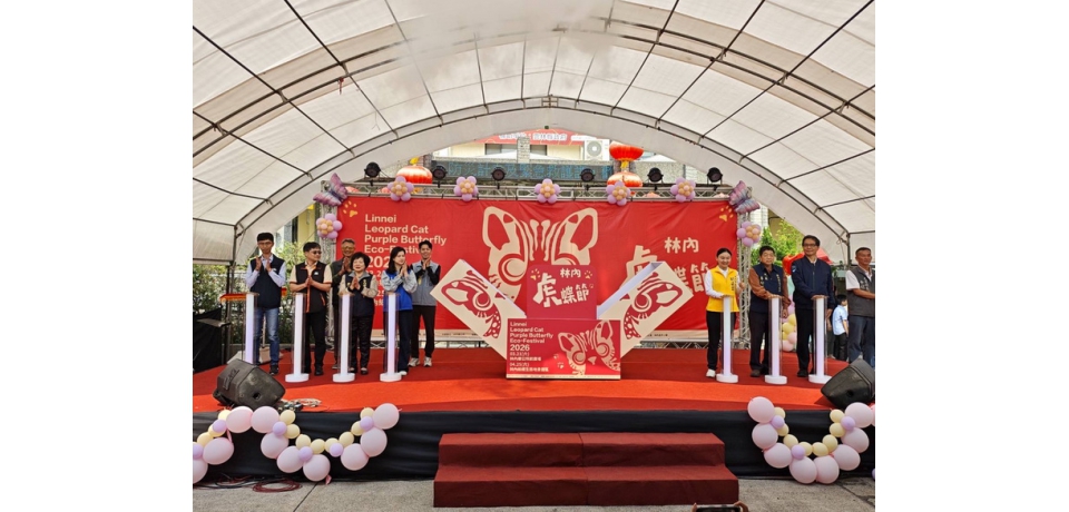 虎蝶齊舞石虎現蹤　林內生態盛事熱鬧開幕(圖)