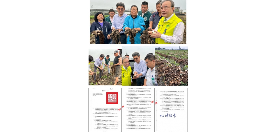 大蒜災損嚴重立委劉建國邀農業部現勘　次長胡忠一允諾：天然災害救助火速核定(圖)