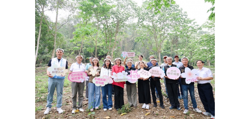2026古坑桐花祭4月18日浪漫登場荷苞山白色花海結合咖啡香　打造春季山林文化盛會(圖)