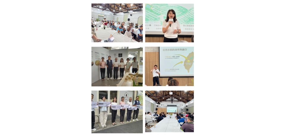 蓬萊米百年特展登場 「百年稻浪X斗南町」見證臺灣米食文化邁向下一個百年(圖)