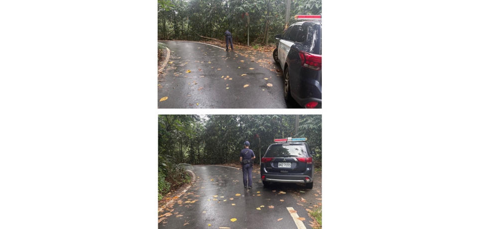 暴雨狂襲枯枝竹橫路　斗南警冒雨清障守護山區用路安全(圖)